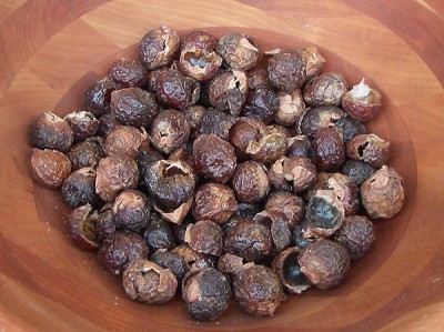 soap-nuts